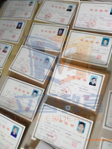 服務(wù)周到的學(xué)歷提升 信譽(yù)好的學(xué)歷證書培訓(xùn)機(jī)構(gòu),當(dāng)屬立雪教育,服務(wù)周到的學(xué)歷提升 信譽(yù)好的學(xué)歷證書培訓(xùn)機(jī)構(gòu),當(dāng)屬立雪教育生產(chǎn)廠家,服務(wù)周到的學(xué)歷提升 信譽(yù)好的學(xué)歷證書培訓(xùn)機(jī)構(gòu)