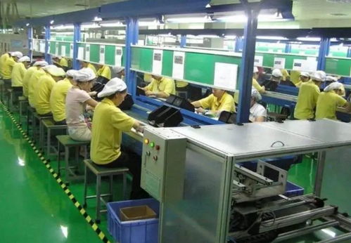 這世道,為什么我還要送孩子出國留學(xué)