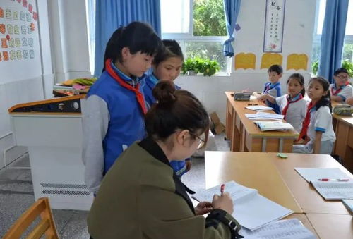 保護森林,熊熊有責(zé) ,學(xué)生花式練字,不給 優(yōu)星 說不過去了